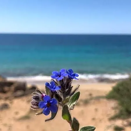 Mariapaola 4*