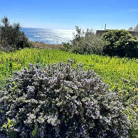 Hébergement de vacances Mariapaola *
